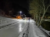 bsh